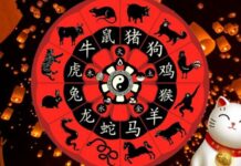 Китайский гороскоп на каждый день недели с 27 сентября по 3 октября 2021 года