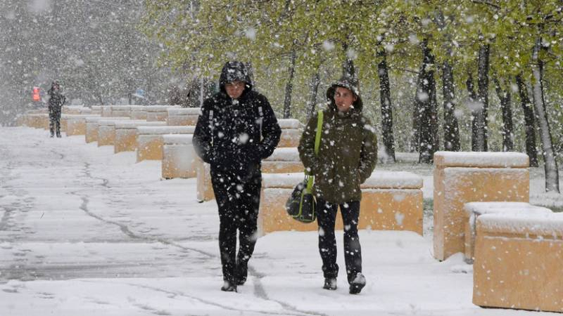 <br />
Первый снег в Москве: синоптики рассказали, когда в 2021 году ждать осадков                