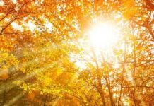 Почему на Поднесеньев день 22 сентября люди ходили в гости к молодоженам