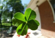 Рейтинг удачи знаков зодиака на неделю с 27 сентября по 3 октября 2021 года