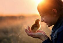 Самые добрые знаки зодиака, по мнению астролога