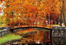 Тепло вернется: синоптики рассказали, когда ждать старое бабье лето в Москве в 2021 году