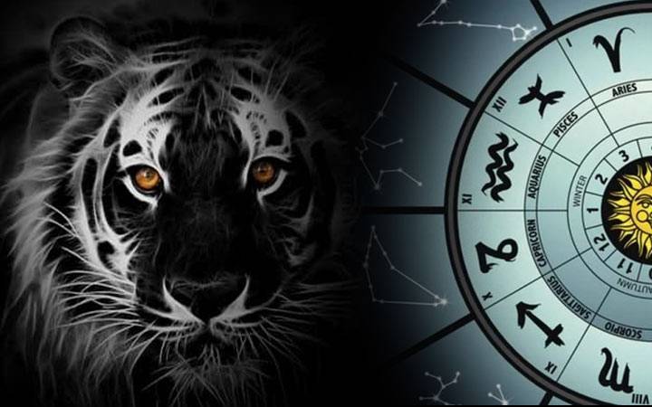 <br />
Три знака китайского зодиака, которым крупно повезет в 2022 году Тигра                