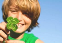 Три знака китайского зодиака, которым крупно повезет в 2022 году Тигра