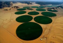 Живительная влага под толщей песков: почему не состоялся грандиозный проект по опреснению Сахары