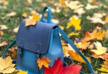 Будет ли продление осенних каникул в 2021 году