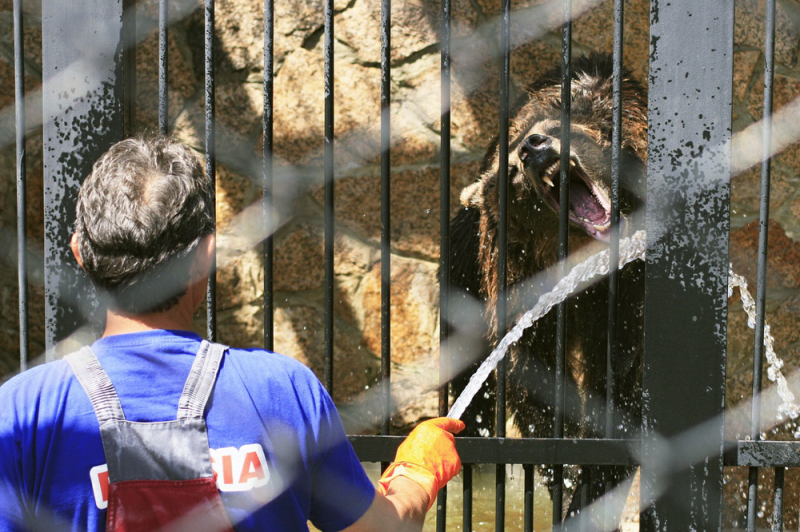 Челябинский зоопарк готов к приему башкирских медведей