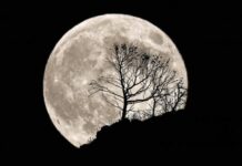 Чем опасно полнолуние в октябре 2021 года: как избежать неприятностей и правильно использовать энергию Луны