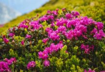 Для чего на Руси на День Евлампия Зимоуказателя 23 октября сжигали старые вещи