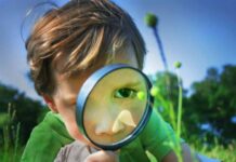 Интересно все знать: 7 знаков зодиака, которые отличаются особой любознательностью и эрудицией