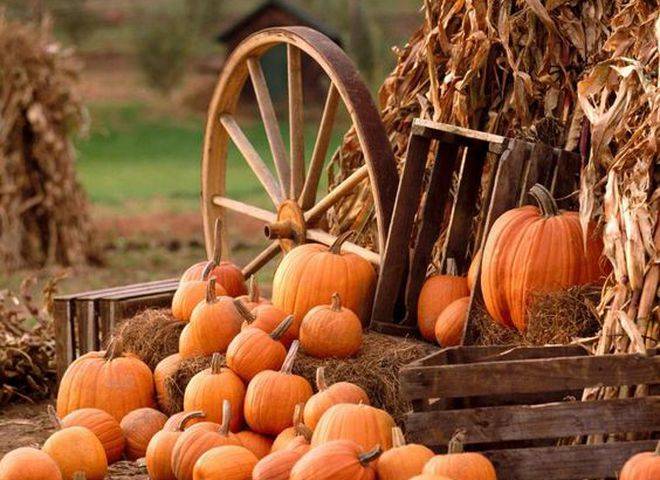 <br />
Как по скрипу колес на Осия Колесника 30 октября люди определяли, какими будут зима и урожай следующим летом                
