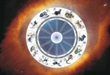 Китайский гороскоп на каждый день недели с 11 по 17 октября 2021 года