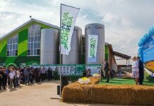 Крупнейшая молочная ферма «Эконива» становится центром аналитики данных