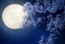 Лунные сутки 13 октября 2021 года: при каком условии можно достичь финансовой удачи