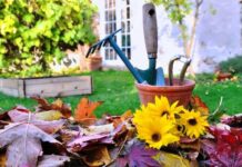 Лунный календарь для садоводов и огородников на ноябрь 2021 года