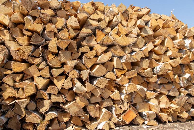 <br />
Мэр Москвы Сергей Собянин: «Пожилые люди могут получить дрова на дачу в период самоизоляции»                