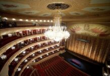 Момент гибели актера Большого театра Евгения Кулеша попал на видео