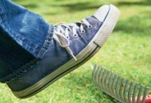 На одни и те же грабли: какие знаки зодиака не учатся на своих ошибках