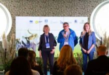 «Норникель» помог прояснить «Сибирскую перспективу»