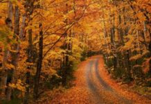 Почему на Дениса Позимнего 16 октября боялись отправляться в путешествия и не убирали в доме