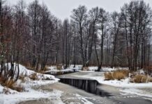 Почему наши предки 27 октября боялись Параскеву Грязнуху и не купали детей