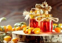 Полезные свойства облепихи и рецепт домашнего масла