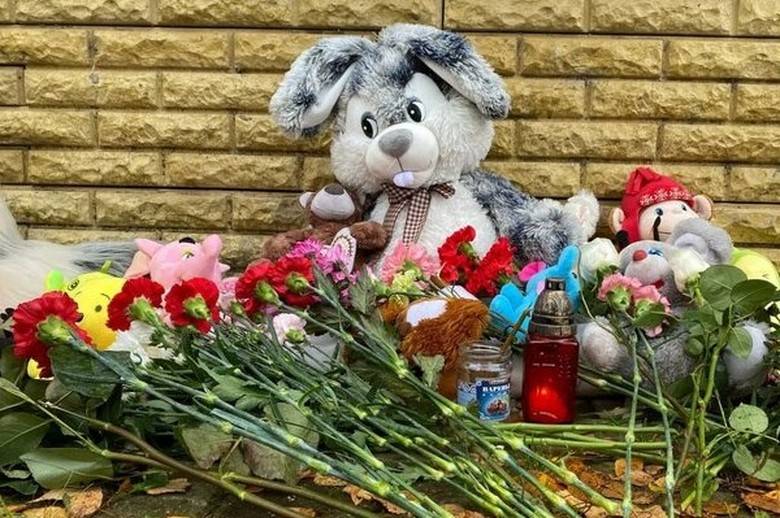 <br />
Пропавшую в Вологде 9-летнюю Софию Жаворонкову нашли мертвой: что известно об убийце                