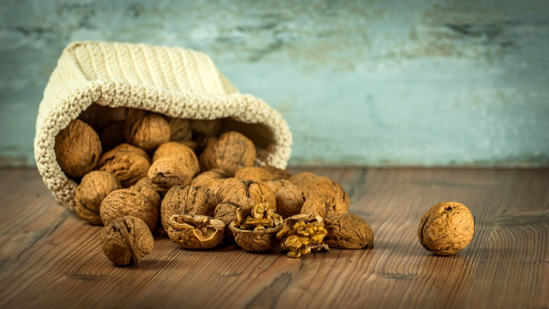 Стоит ли сажать грецкий орех на приусадебном участке — полезные советы дачникам