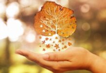 У каких знаков зодиака в ноябре 2021 начнется белая полоса в жизни