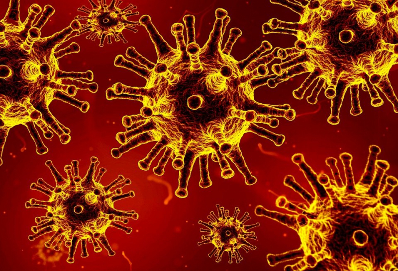 Ученые назвали цель новой мутации коронавируса