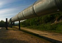 В бундестаге призвали к скорейшему запуску «Северного потока — 2»