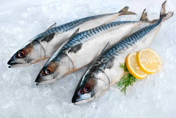 <br />
В День святого Ионы лучше отказаться от употребления в пищу рыбы                