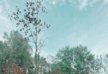 В финальном пуле третьего сезона реалити «Пережить, чтобы помнить» вышла первая серия