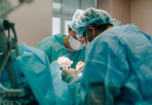 В США хирурги впервые пересадили почку генно-модифицированной свиньи человеку