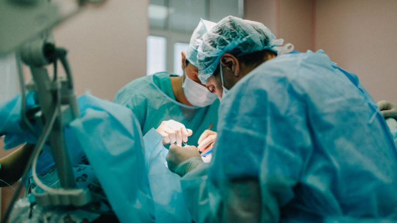 В США хирурги впервые пересадили почку генно-модифицированной свиньи человеку