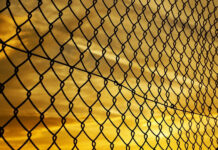 В США предостерегли Польшу от провокаций на границе с Белоруссией