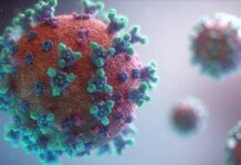 В Великобритании распространяется новый штамм COVID-19: что известно о нем ученым