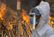 Ванга предсказала миру новый вирус, который страшнее коронавируса