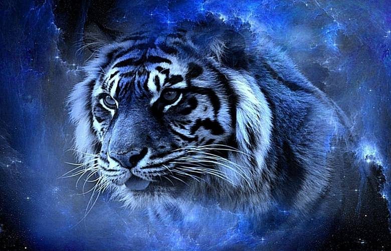 <br />
Восточный гороскоп на 2022 год: что принесет Голубой Водяной Тигр всем знакам зодиака                