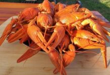 Каких раков купить: живых или вареных?