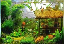 Как красиво оформить аквариум: необычные идеи декора