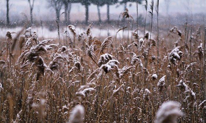 <br />
«Анна холодная — осень голодная»: почему на Руси 16 ноября старались не покидать дом и как определяли погоду на будущий год                