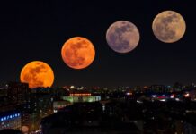 Астролог назвала три знака зодиака, на которых больше всего повлияет лунное затмение 19 ноября 2021 года