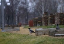 Чего нельзя делать в Никодимов день 13 ноября, чтобы не оттолкнуть удачу