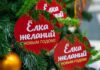 «Елка желаний»: что за акция, как принять участие в 2022 году