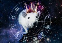 Фэн-шуй прогноз на последний месяц 2021 года