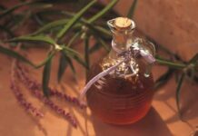 История засекреченного проекта «Андроген»: чем закончились поиски эликсира «вечной жизни» для Сталина