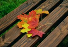 Как на Руси в День иконы Казанской Божьей Матери 4 ноября продлевали молодость и почему считали лучшим временем для свадеб