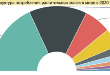 Как Россия стала мировым лидером по урожаю подсолнечника