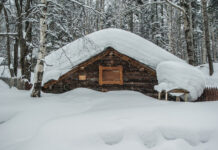 «Как соревноваться?»: поляки оценили игры русских детей при -48